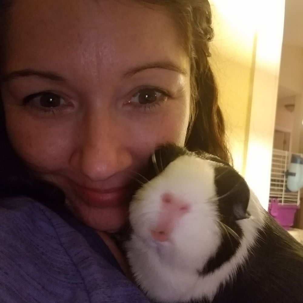 Meet your Posher, Shandy